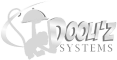 Dooliz Systems (Canada)